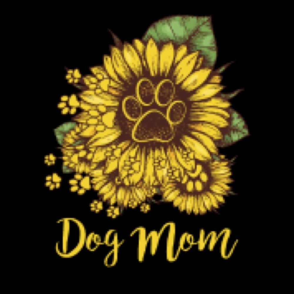 Meet your Posher, Joey